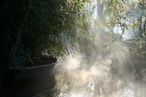 jpeg optimizer mg 0820