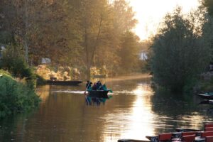 jpeg optimizer mg 0856