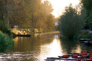 jpeg optimizer mg 0860