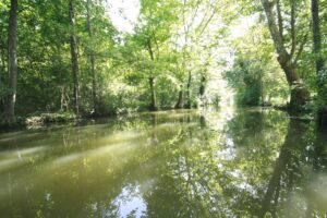 jpeg optimizer mg 2150