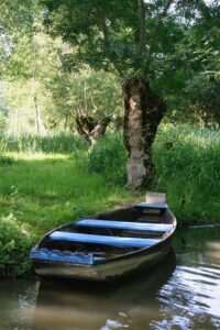 jpeg optimizer mg 7686 2