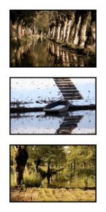 jpeg optimizer triptique conches